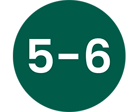 Semanas 5-6