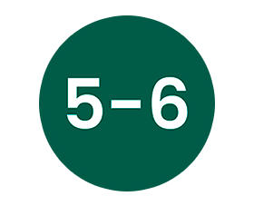 Semanas 5-6